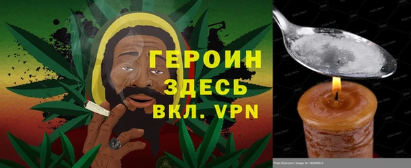 индика Медвежьегорск