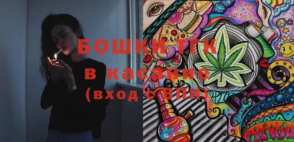 индика Навашино
