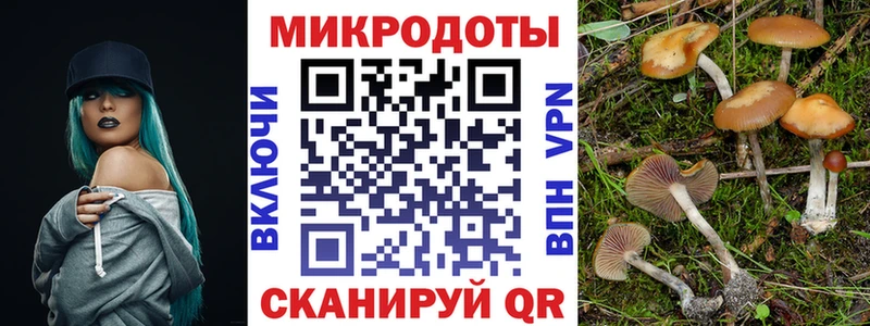 Псилоцибиновые грибы ЛСД  Заполярный 